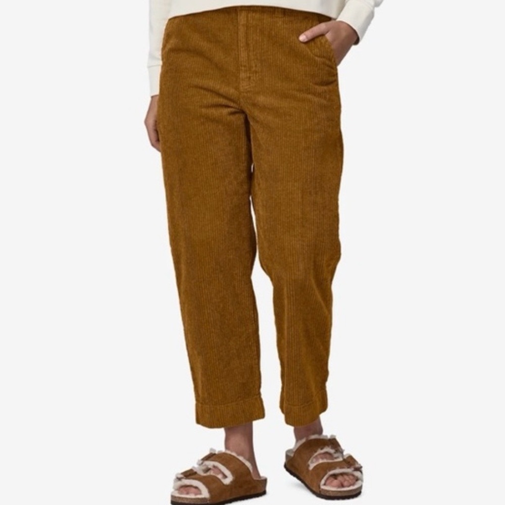Patagonia Wide-Wale Corduroy Pants Size 2 Shelter Brown